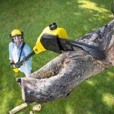 Best Arborist Consultation Services  in East Greenville, PA