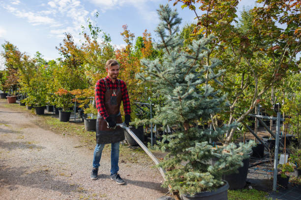 Best Tree Trimming and Pruning  in East Greenville, PA